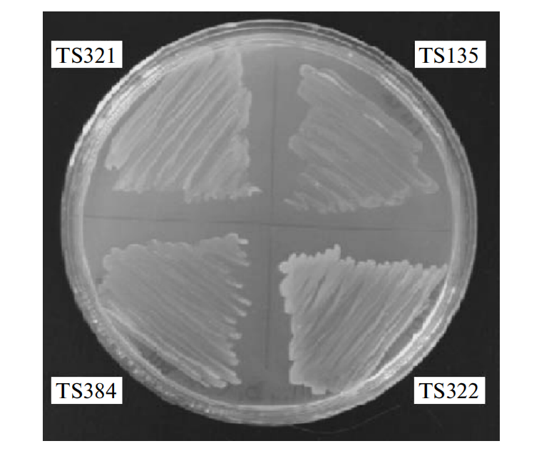 172258249212070567.png 图片1.png