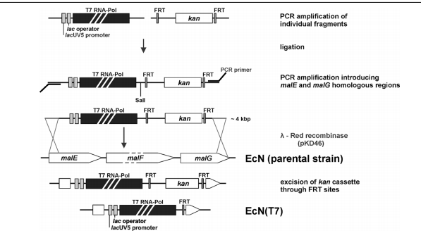 172283863568066955.png 图片6.png