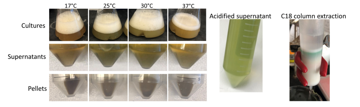 172283926648926773.png 图片12.png