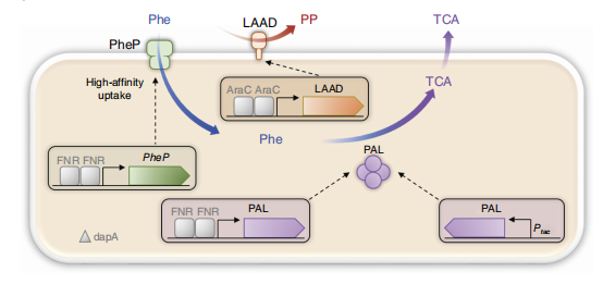 172283990477212022.png 图片19.png