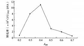 172310347714651699.png image.png