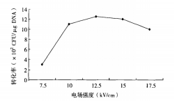 172310348999293344.png image.png