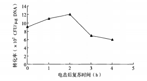 172310349765446605.png image.png