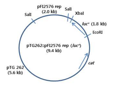 172310373573334750.png image.png