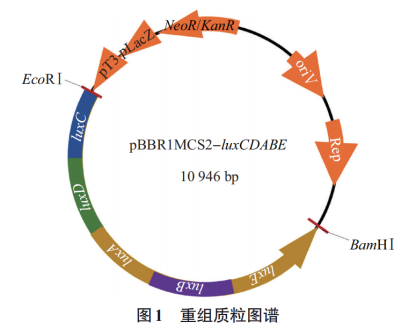 172371338937086361.png image.png