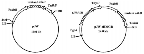 172482915050301160.png image.png