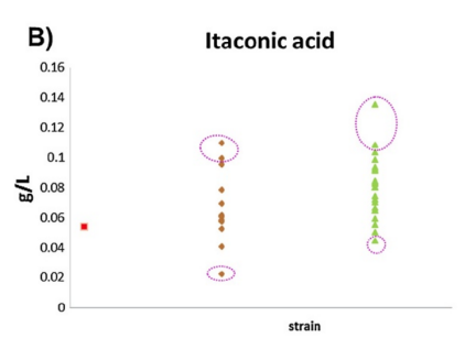 172550147717056519.png image.png