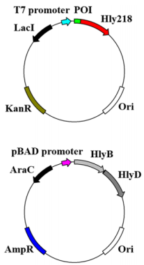 172550214641376591.png image.png