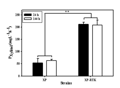 172550277518616499.png image.png