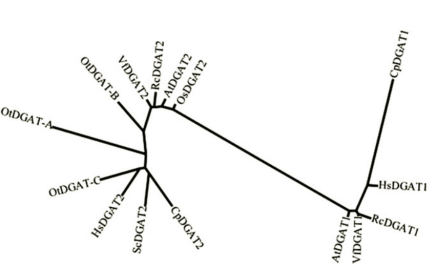 172550342757972261.png image.png