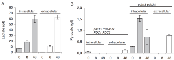 172630513147891426.png image.png