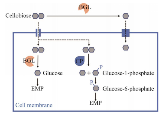 172630571450653481.png image.png