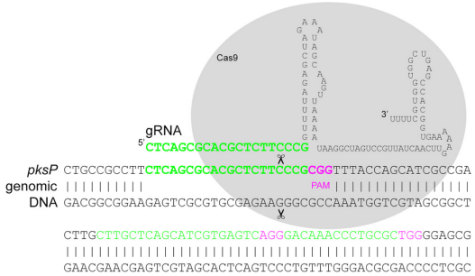 172742600983908007.png image.png