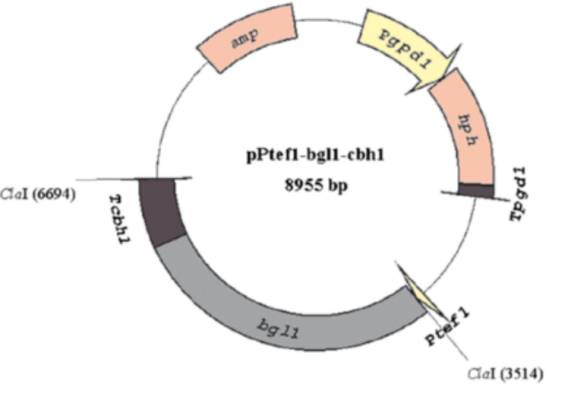 172742692460586569.png image.png