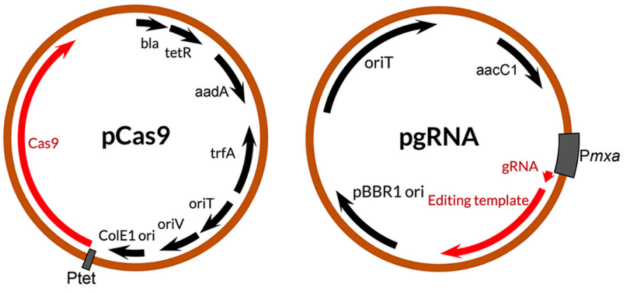 172904907180538440.png 图片4.png