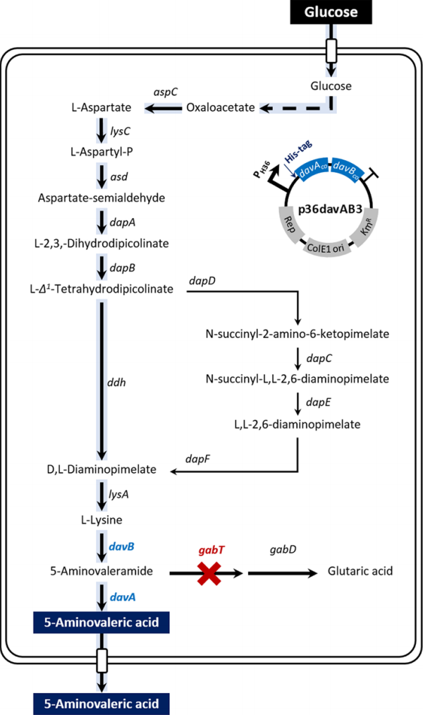 172904934022728616.png 图片5.png