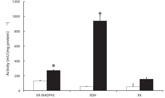 172904942630772134.png image.png