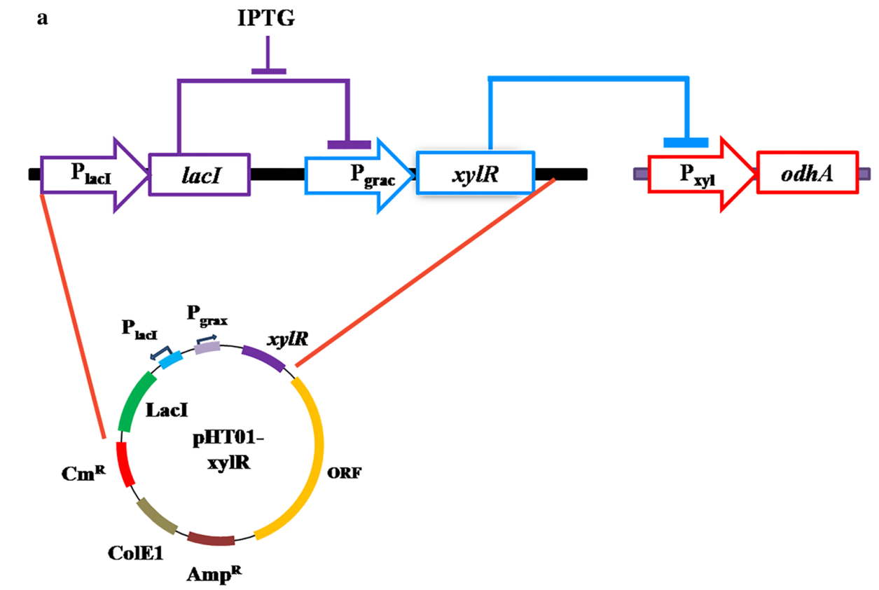 172906552412474058.png 图片9.png