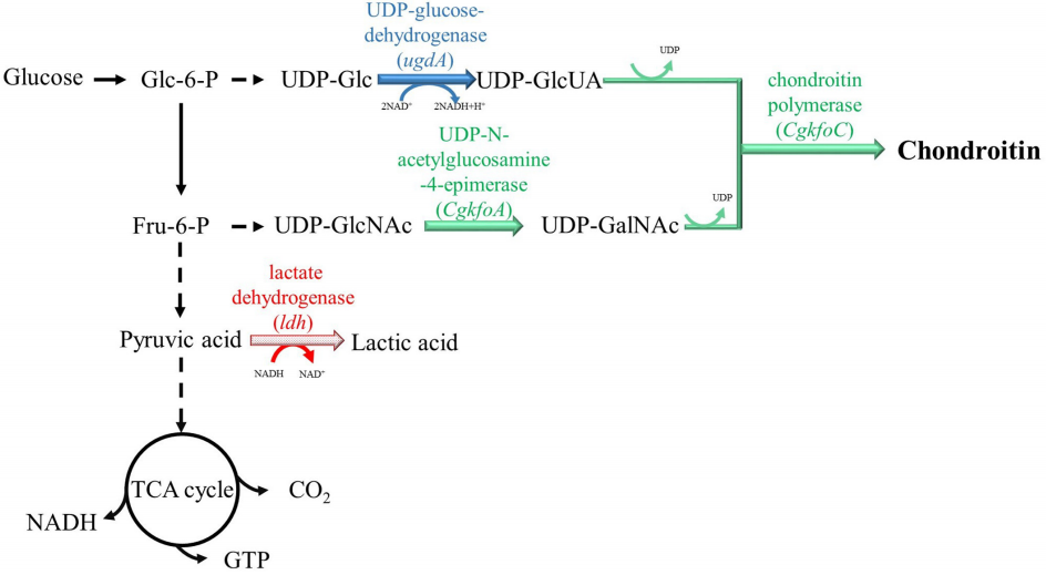 172906690412115138.png 图片17.png