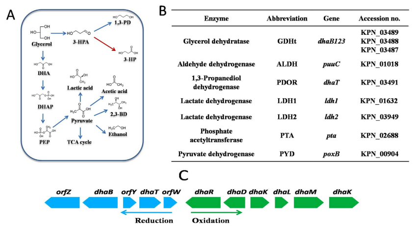 172906771820820728.png 图片20.png