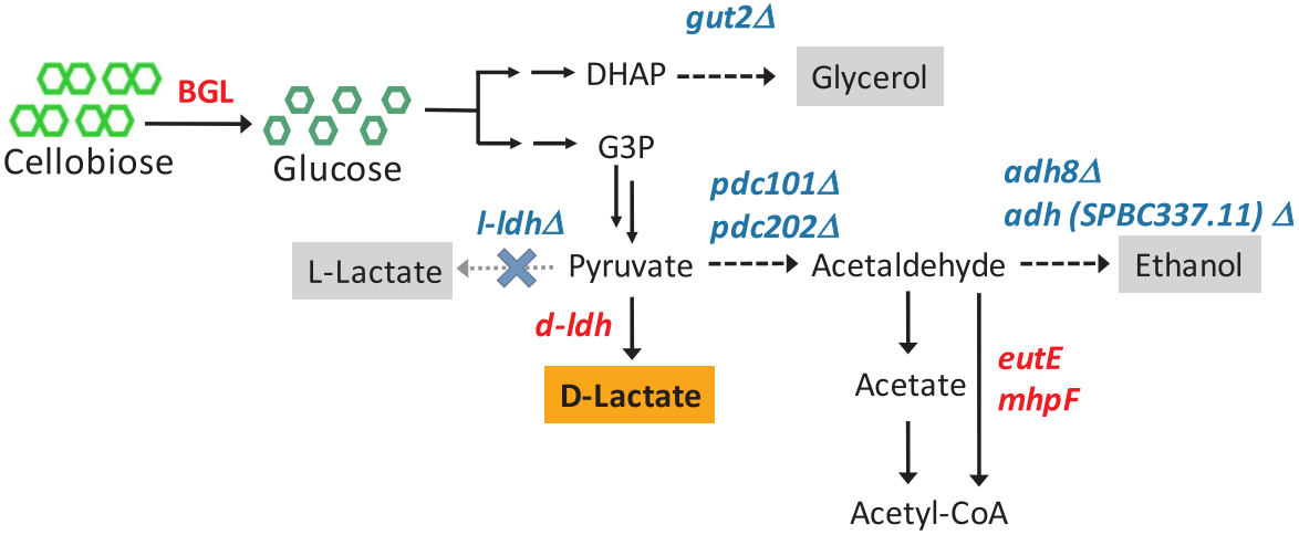 172906847927749300.png 图片26.png