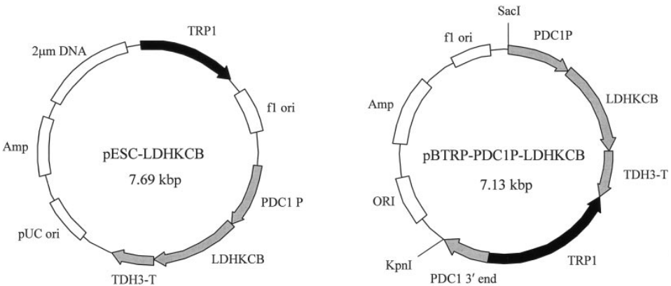 172907022816571299.png 图片39.png