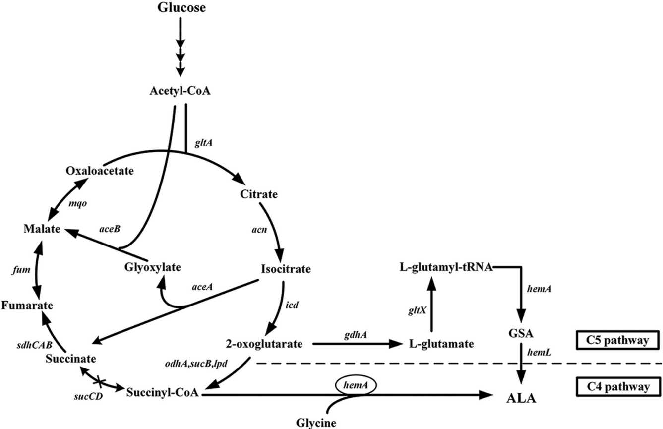 172907029999026760.png 图片40.png