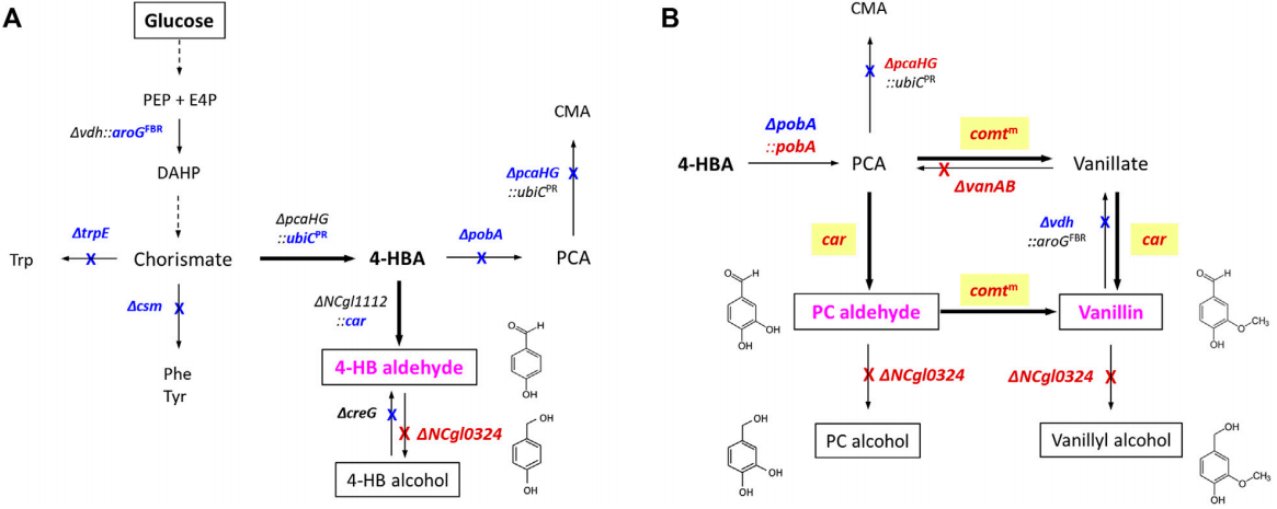 172907038413241002.png 图片41.png