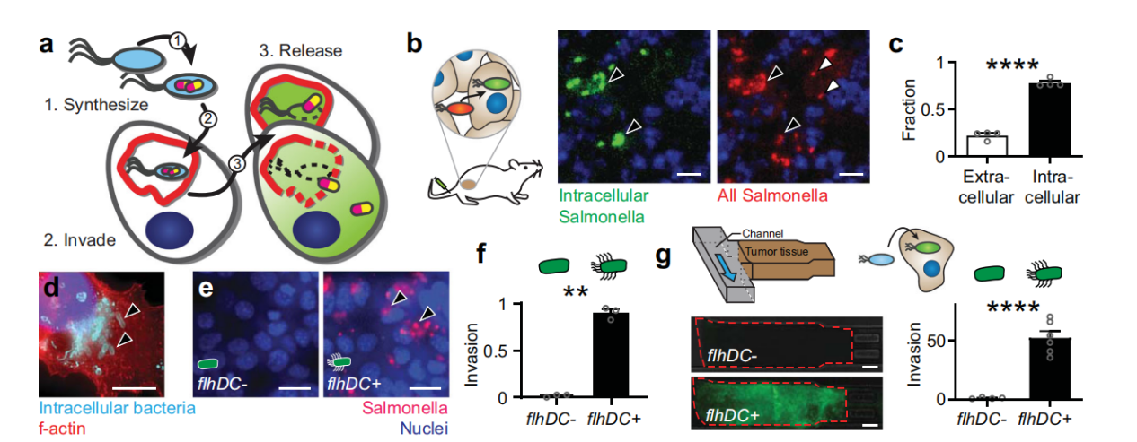 172947113118227597.png 图片1.png