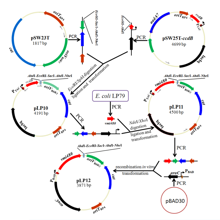 172947354327400743.png 图片3.png