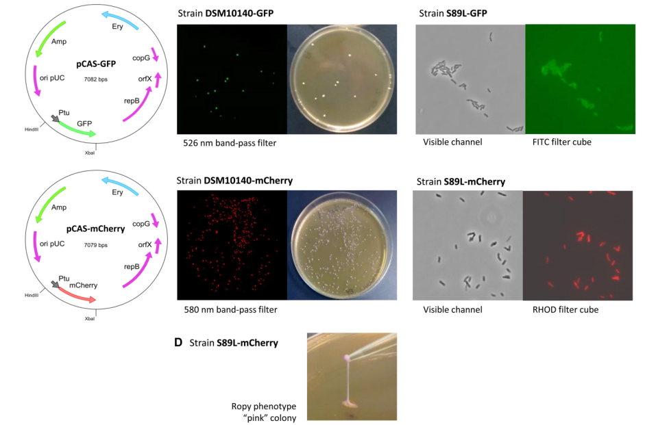 172947457776431134.png 图片11.png