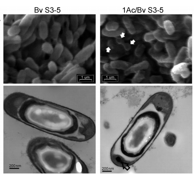 172947494370953992.png 图片14.png