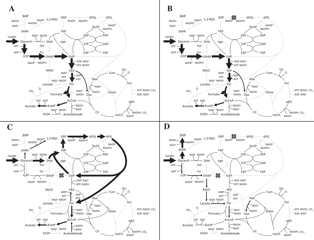 172947506759266637.png 图片16.png