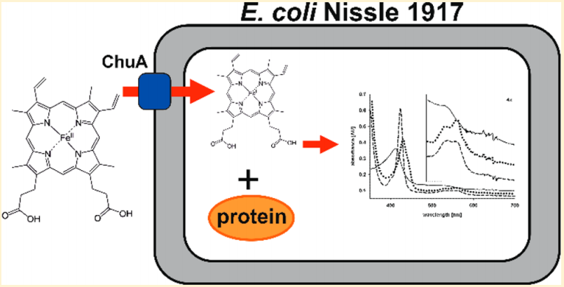 172947518020538439.png 图片18.png