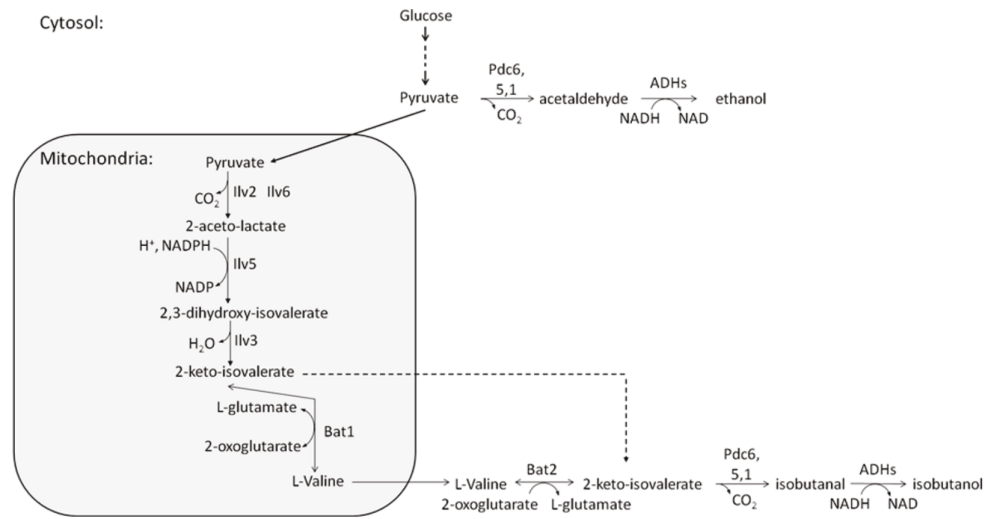 172947605838241528.png 图片30.png