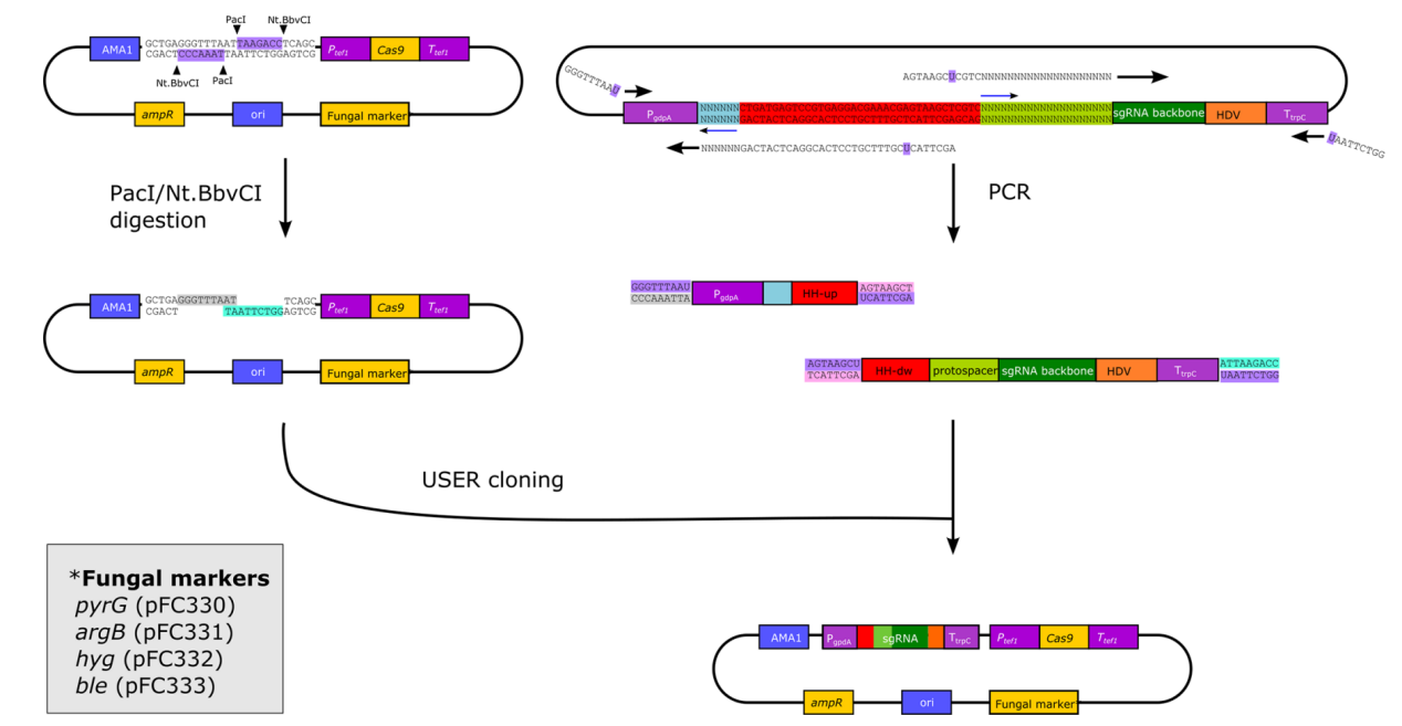 172947667271572489.png 图片39.png