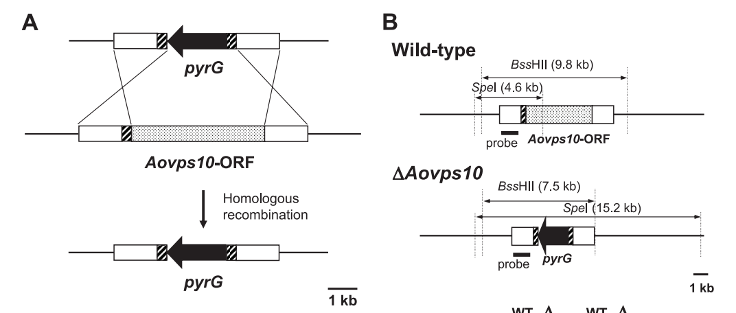 172947694115409222.png 图片42.png