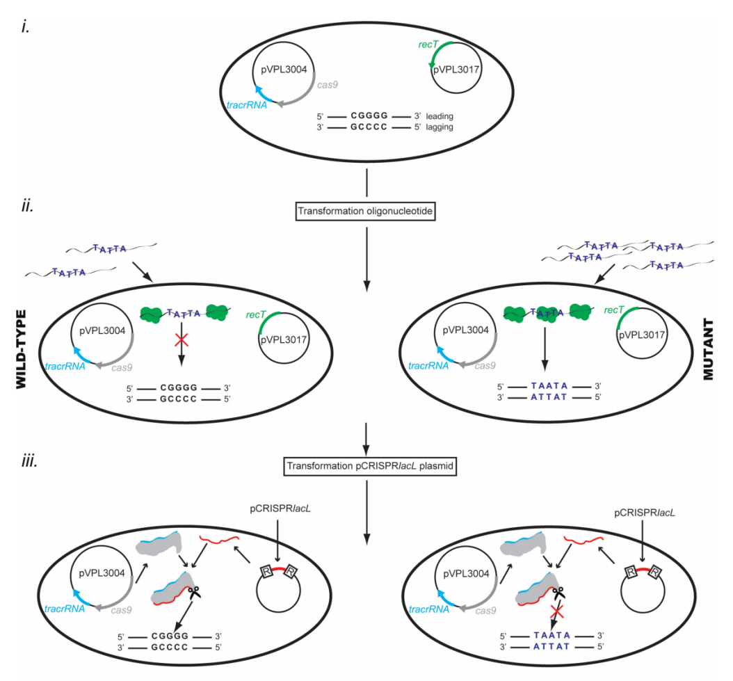 172947719834068749.png 图片45.png