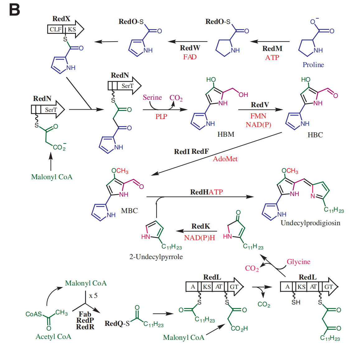 172947733326871550.png 图片48.png