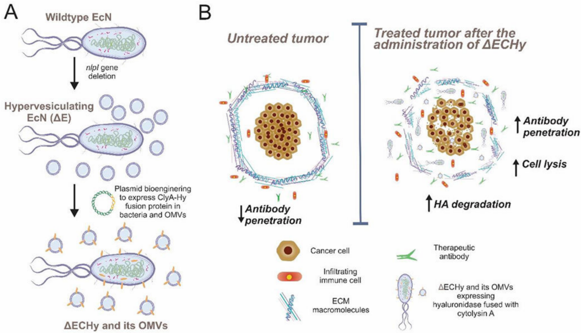 172947741140536697.png 图片50.png