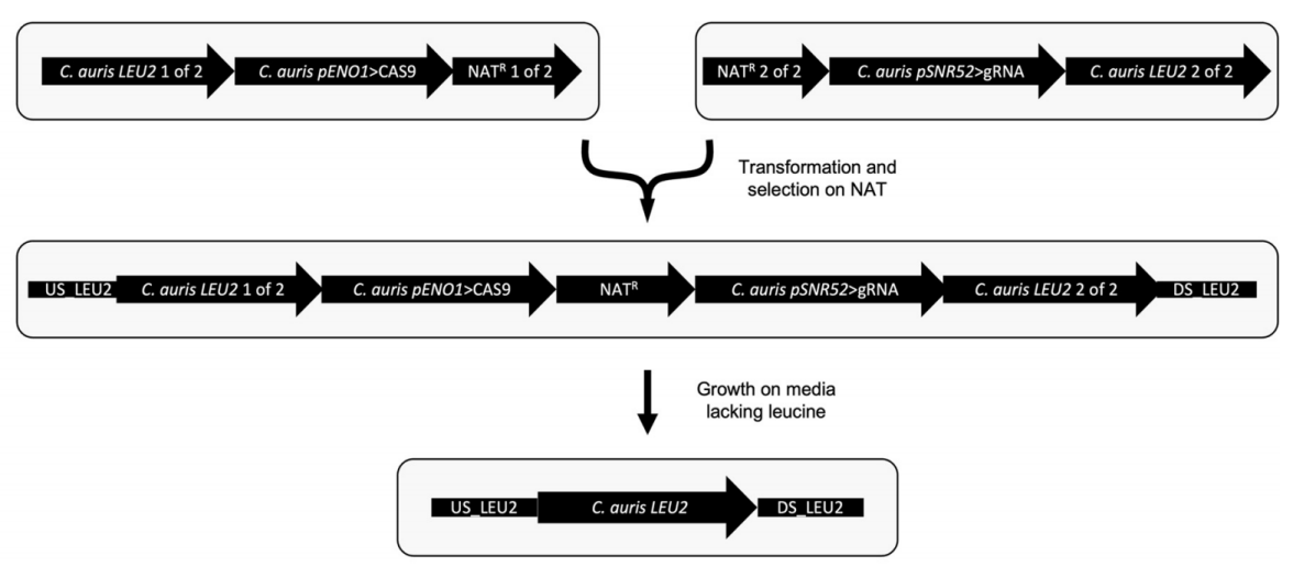 172947744232722350.png 图片51.png