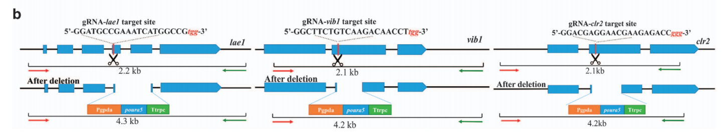 172947748681912464.png 图片52.png