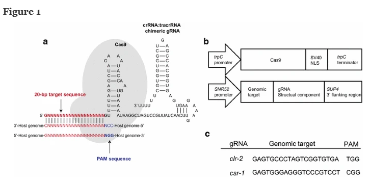 172947754335196067.png 图片53.png