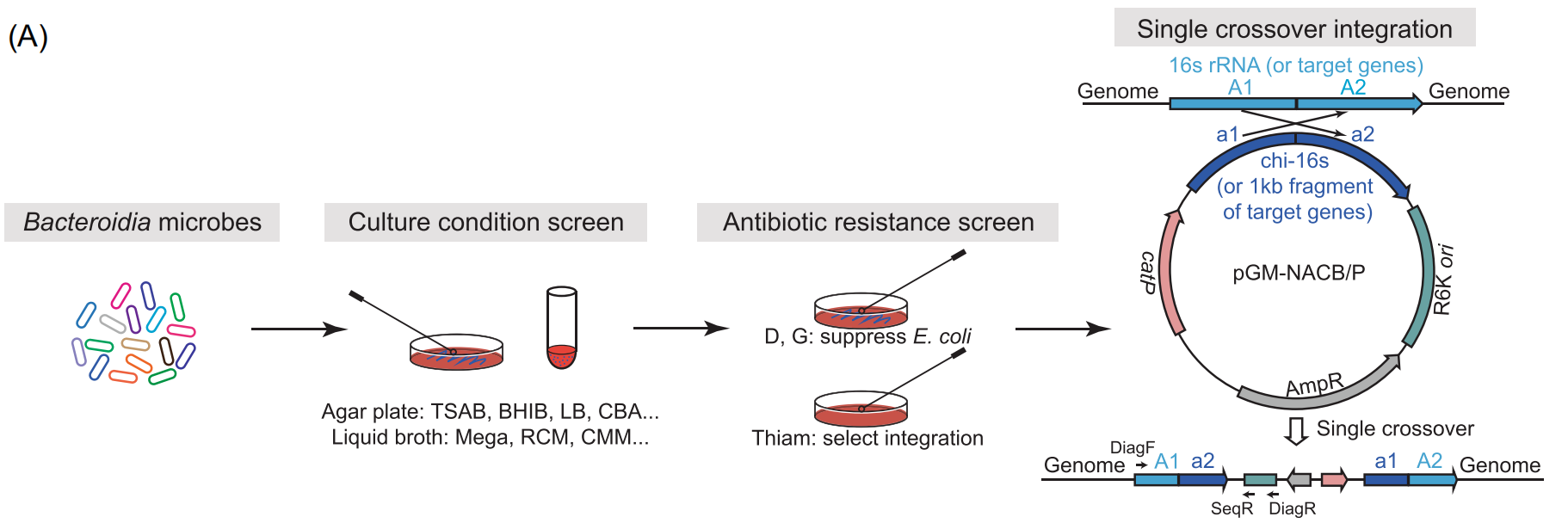 172947761487908031.png 图片55.png