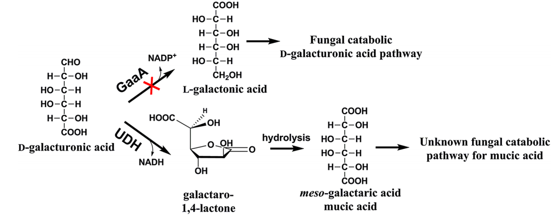 172947778886910202.png 图片59.png