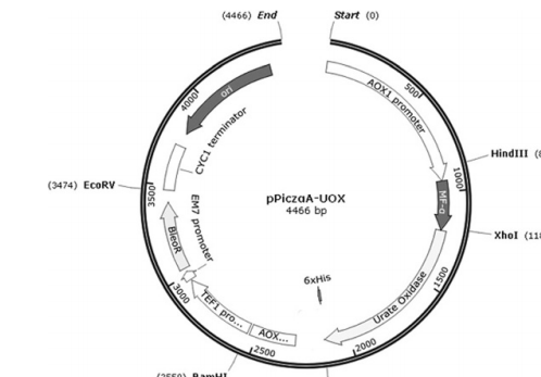 172947796550054334.png 图片62.png