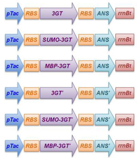 173018586772640201.png 图片68.png