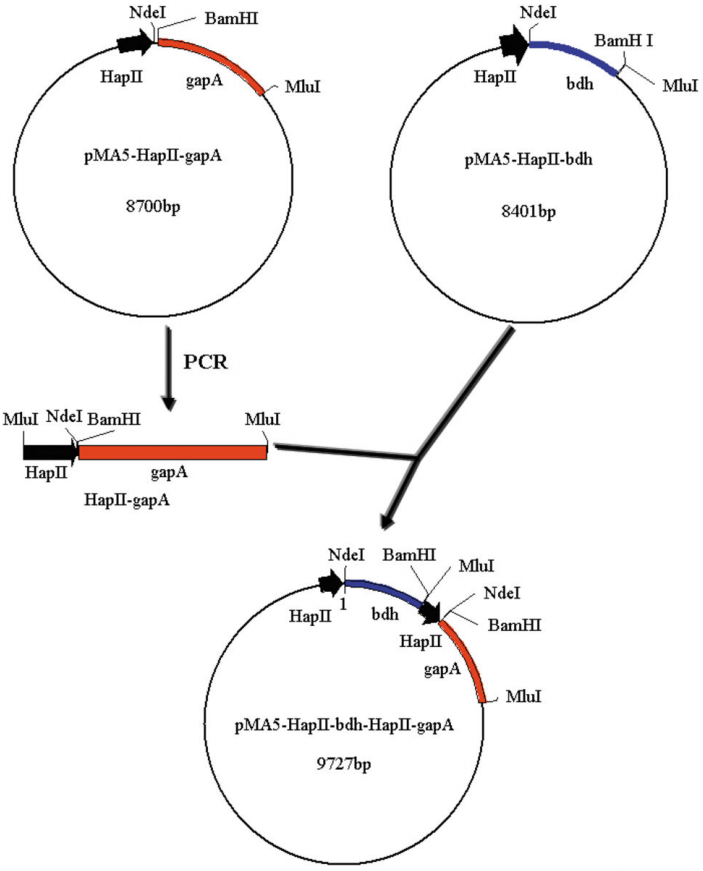 173018781480636661.png 图片88.png