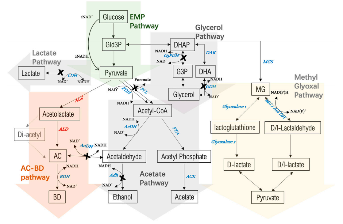 173018828720936079.png 图片93.png