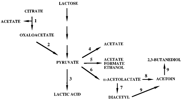 173018838088004828.png 图片95.png